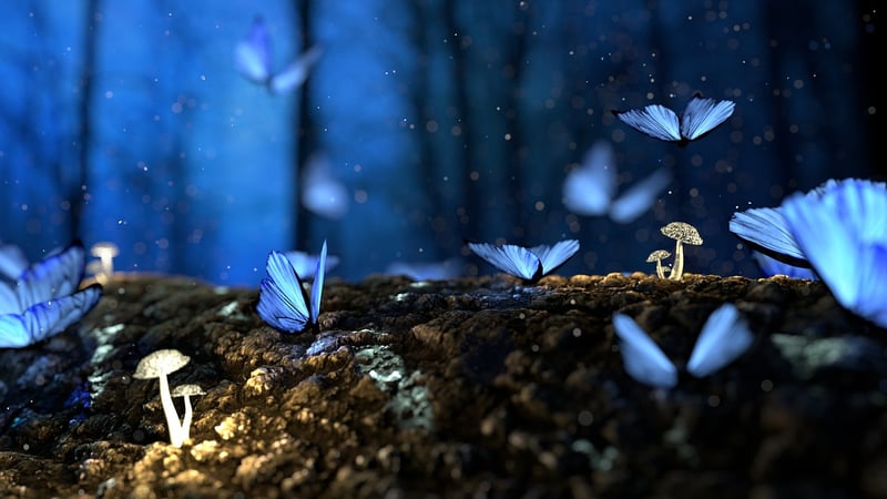 Enchanted Forest Designs